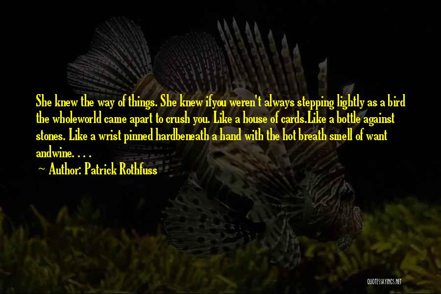 Whole World Against You Quotes By Patrick Rothfuss