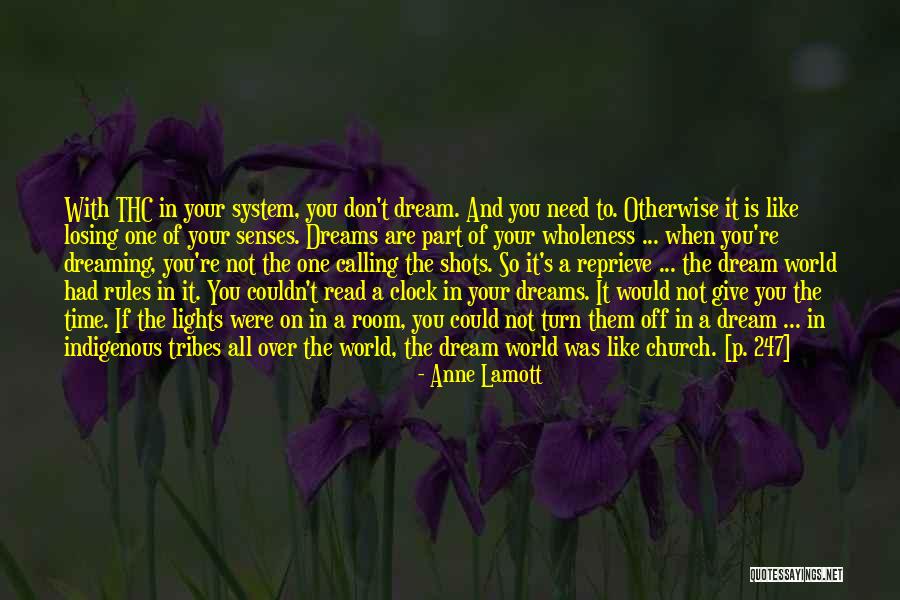 Wholeness Quotes By Anne Lamott