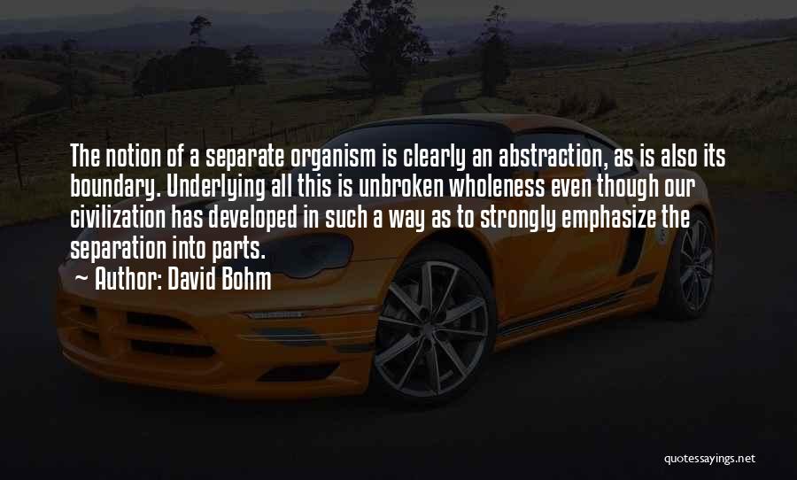 Wholeness Quotes By David Bohm