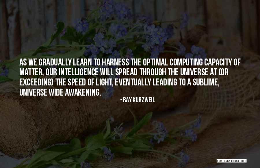 Wholesalers For Boutiques Quotes By Ray Kurzweil Wholesalers For Boutiques Quotes By Ray Kurzweil