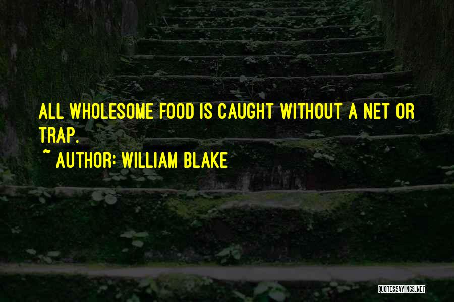 Wholesome Food Quotes By William Blake