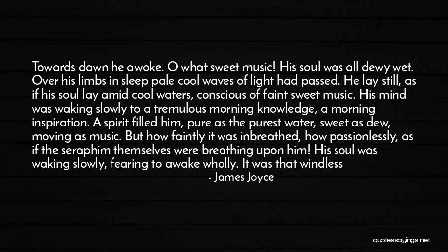 Wholly Water Quotes By James Joyce Wholly Water Quotes By James Joyce