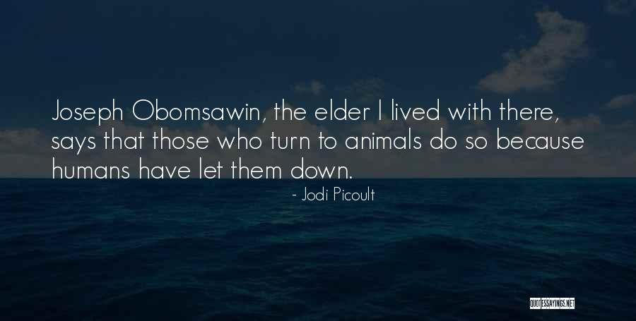 Wholy Living Quotes By Jodi Picoult Wholy Living Quotes By Jodi Picoult