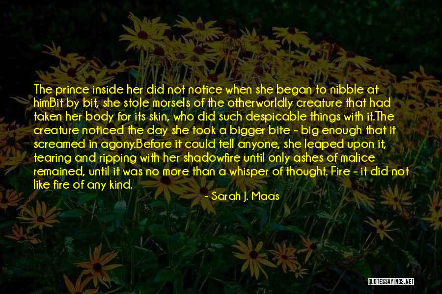 Whonon Quotes By Sarah J. Maas Whonon Quotes By Sarah J. Maas