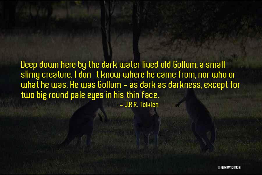 Whoopi Goldberg Famous Quotes By J.R.R. Tolkien Whoopi Goldberg Famous Quotes By J.R.R. Tolkien