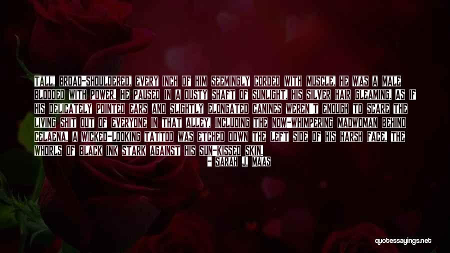Whorls Quotes By Sarah J. Maas Whorls Quotes By Sarah J. Maas