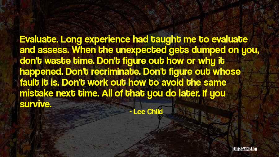 Whose Fault Quotes By Lee Child