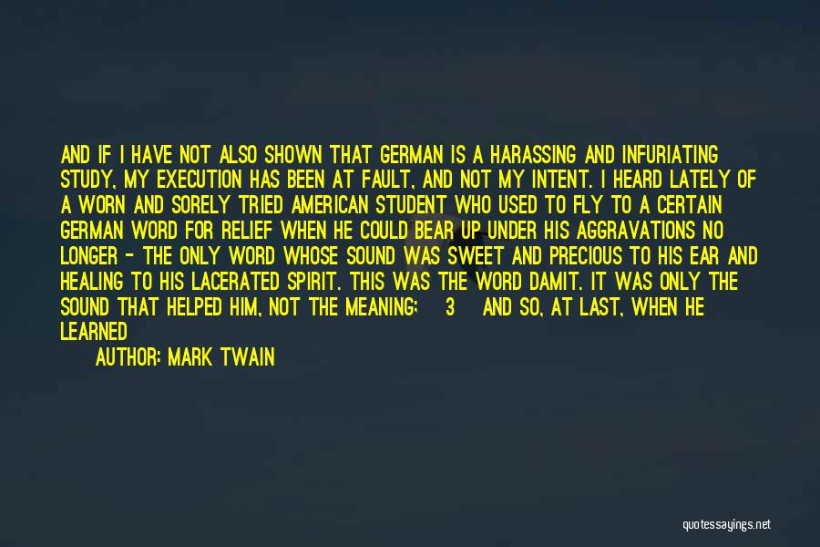 Whose Fault Quotes By Mark Twain