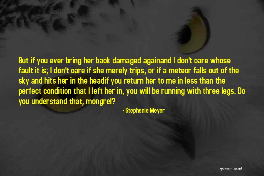 Whose Fault Quotes By Stephenie Meyer