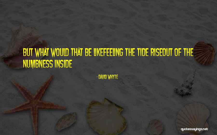 Whuppings Quotes By David Whyte Whuppings Quotes By David Whyte