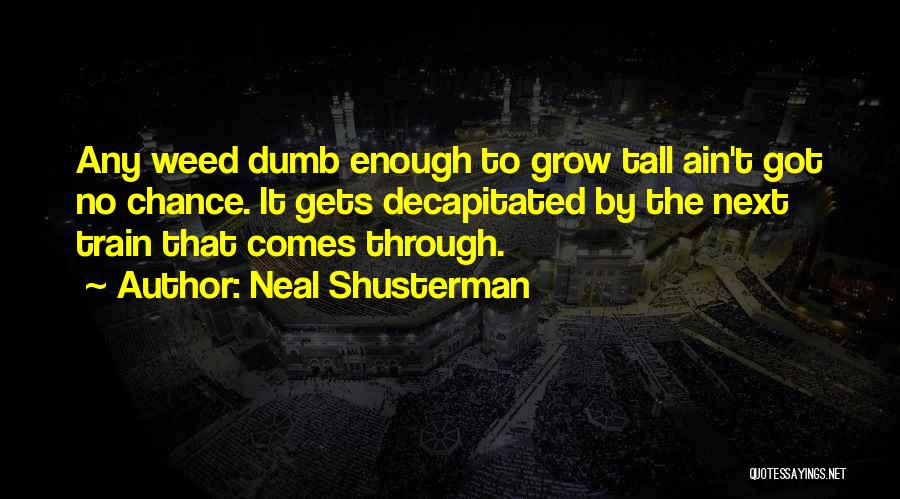 Why Ain't I Enough Quotes By Neal Shusterman