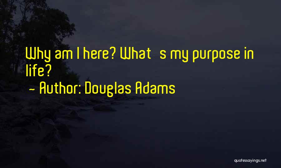 Why Am I Here Quotes By Douglas Adams