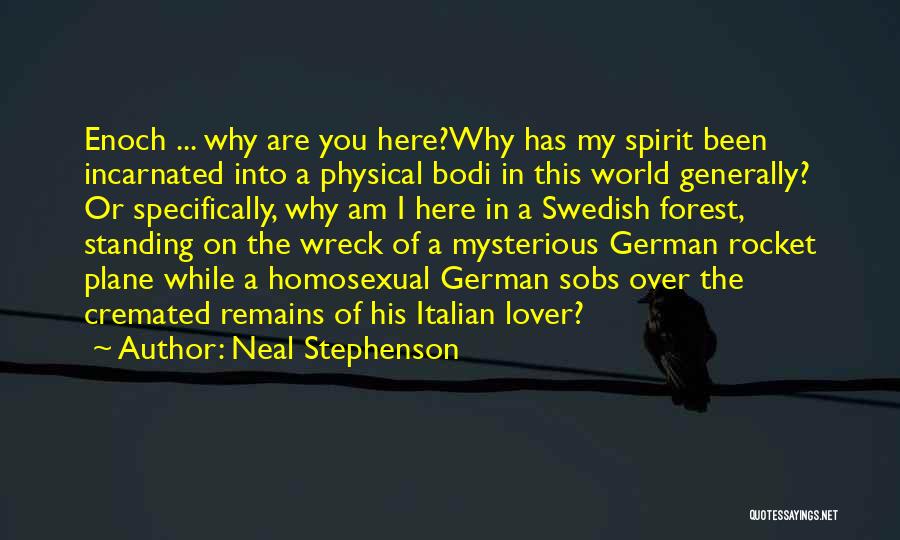 Why Am I Here Quotes By Neal Stephenson