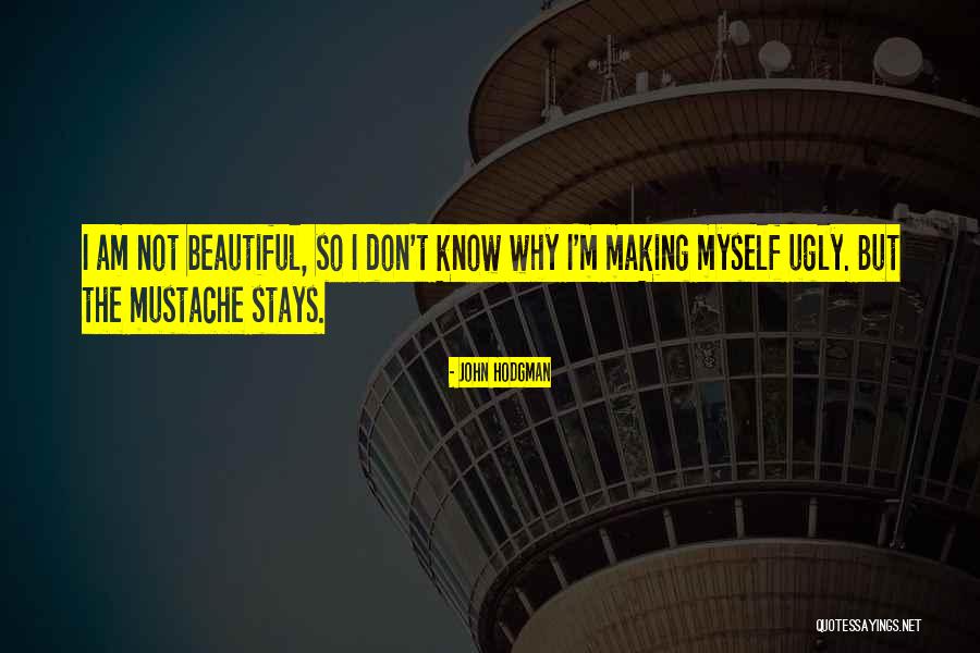 Why Am I Ugly Quotes By John Hodgman Why Am I Ugly Quotes By John Hodgman