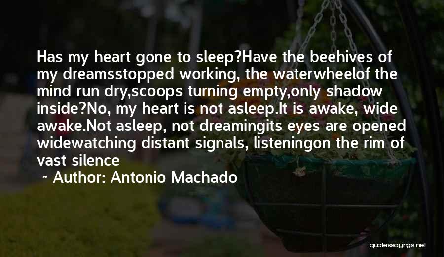 Why Am I Wide Awake Quotes By Antonio Machado
