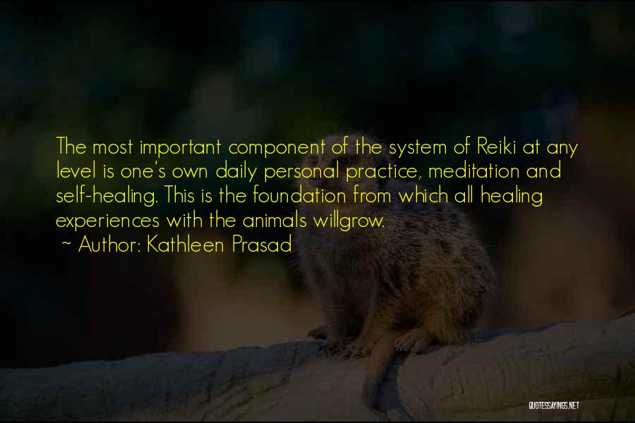 Why Animals Are Important Quotes By Kathleen Prasad