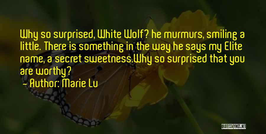 Why Are There Quotes By Marie Lu