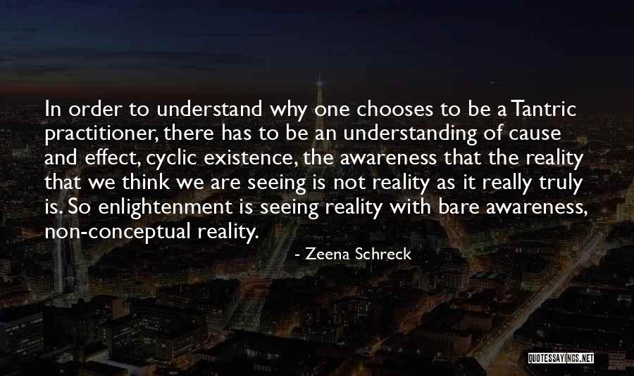 Why Are There Quotes By Zeena Schreck