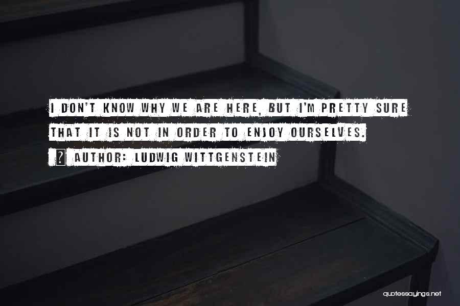Why Are We Here Philosophy Quotes By Ludwig Wittgenstein