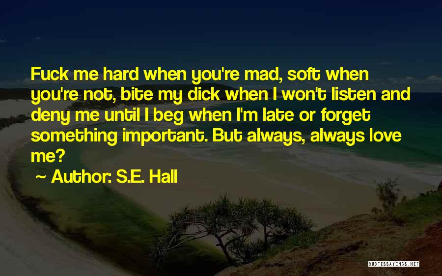 Why Are You Always Mad At Me Quotes By S.E. Hall