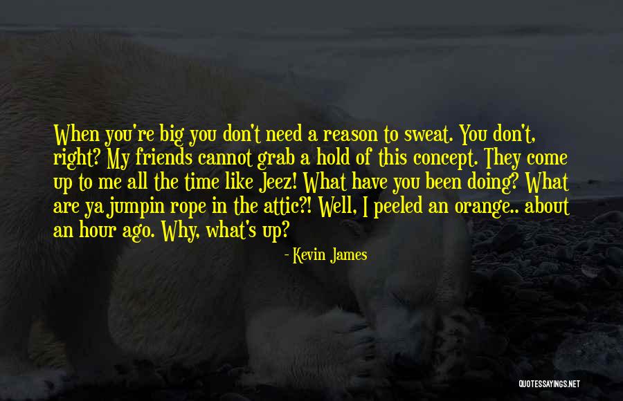 Why Are You Doing This To Me Quotes By Kevin James Why Are You Doing This To Me Quotes By Kevin James