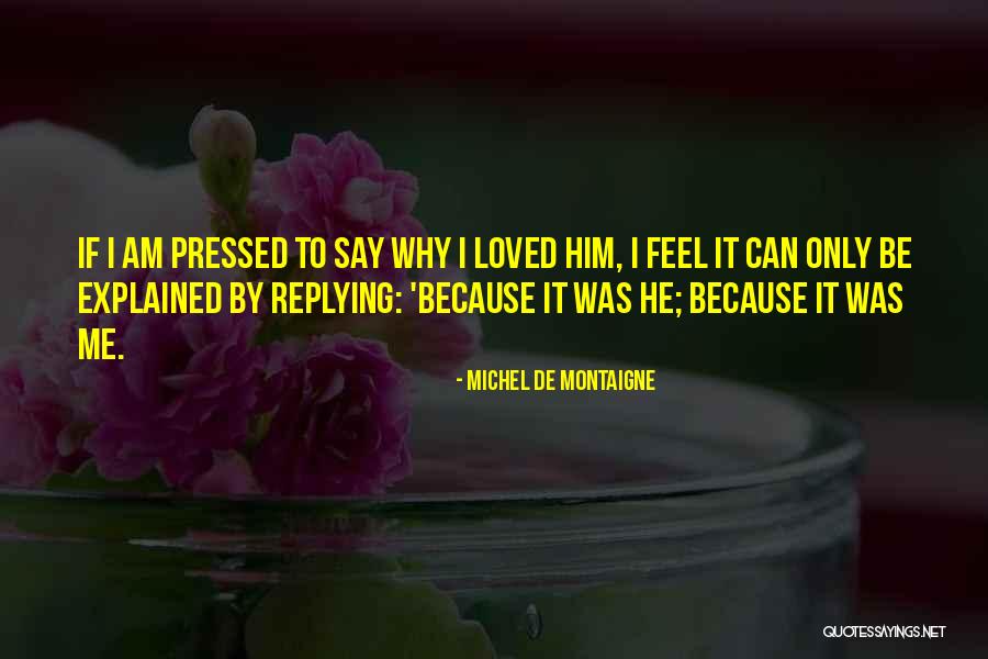 Why Are You Not Replying Quotes By Michel De Montaigne