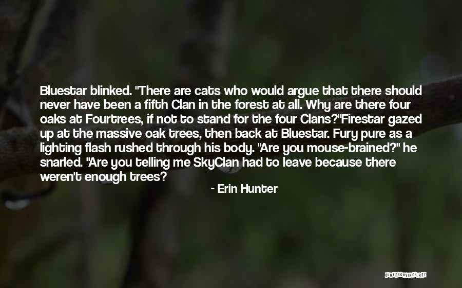Why Argue Quotes By Erin Hunter Why Argue Quotes By Erin Hunter