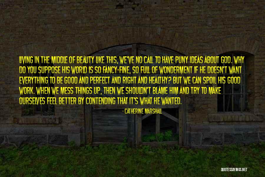 Why Beauty Is Good Quotes By Catherine Marshall Why Beauty Is Good Quotes By Catherine Marshall