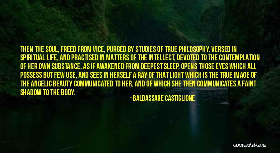Why Beauty Matters Quotes By Baldassare Castiglione Why Beauty Matters Quotes By Baldassare Castiglione