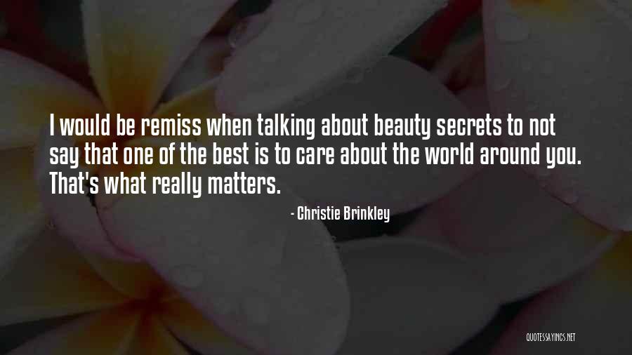Why Beauty Matters Quotes By Christie Brinkley Why Beauty Matters Quotes By Christie Brinkley