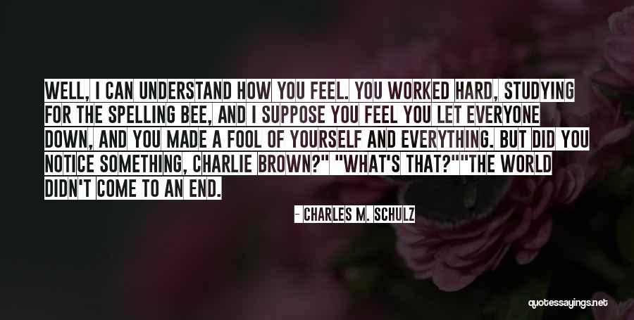 Why Charlie Brown Why Quotes By Charles M. Schulz Why Charlie Brown Why Quotes By Charles M. Schulz