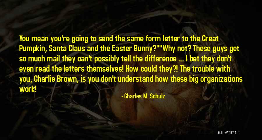 Why Charlie Brown Why Quotes By Charles M. Schulz Why Charlie Brown Why Quotes By Charles M. Schulz