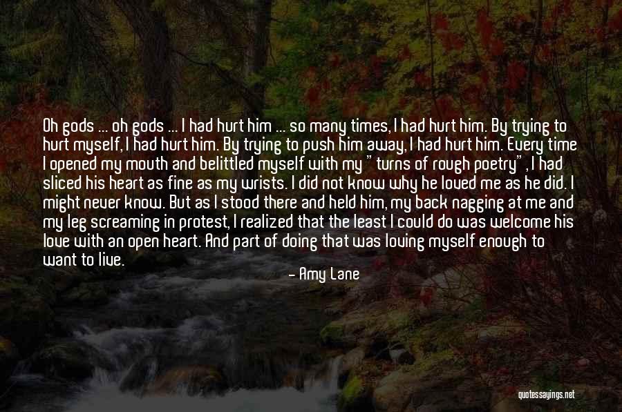 Why Did He Hurt Me Quotes By Amy Lane