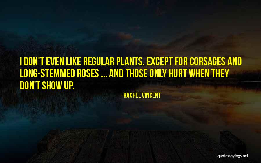 Why Did He Hurt Me Quotes By Rachel Vincent Why Did He Hurt Me Quotes By Rachel Vincent
