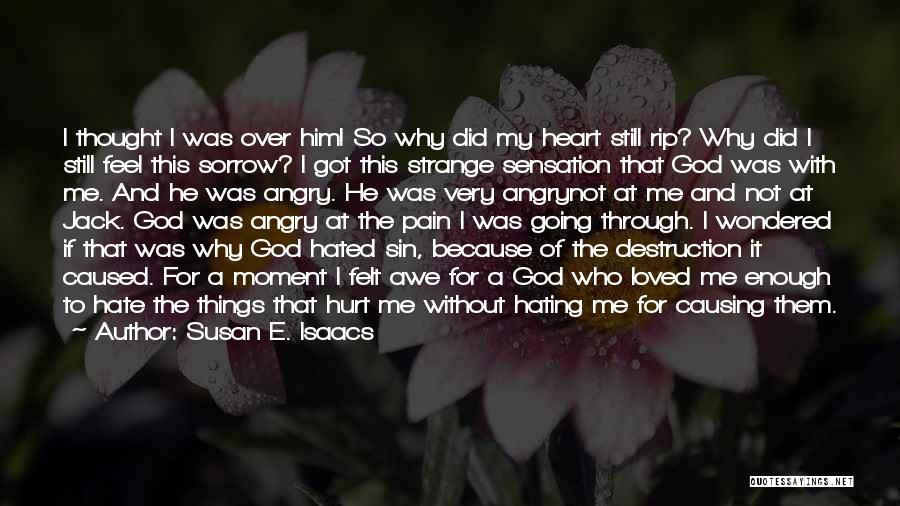 Why Did He Hurt Me Quotes By Susan E. Isaacs