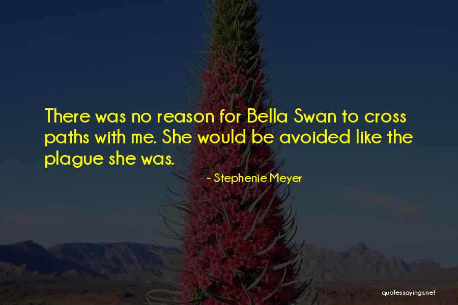 Why Did Our Paths Cross Quotes By Stephenie Meyer Why Did Our Paths Cross Quotes By Stephenie Meyer