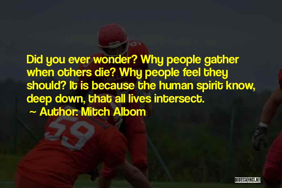 Why Did You Die Quotes By Mitch Albom