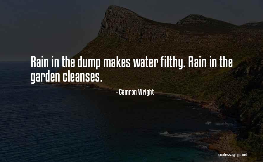 Why Did You Dump Me Quotes By Camron Wright Why Did You Dump Me Quotes By Camron Wright