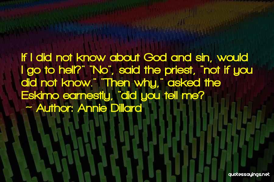 Why Did You Go Quotes By Annie Dillard