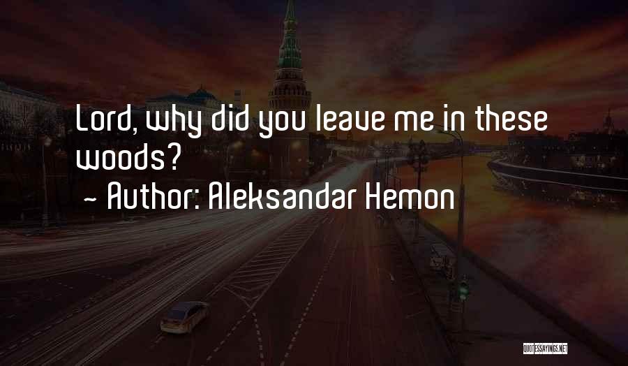 Why Did You Leave Me Quotes By Aleksandar Hemon