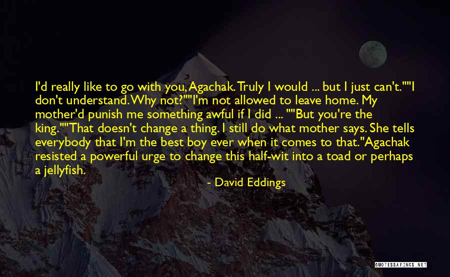 Why Did You Leave Me Quotes By David Eddings