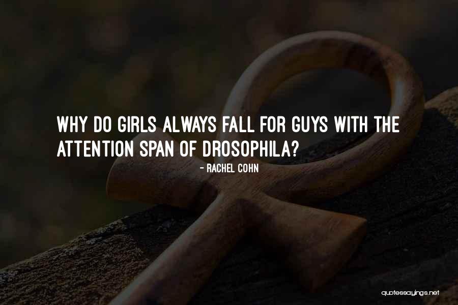 Why Do Guys Quotes By Rachel Cohn Why Do Guys Quotes By Rachel Cohn