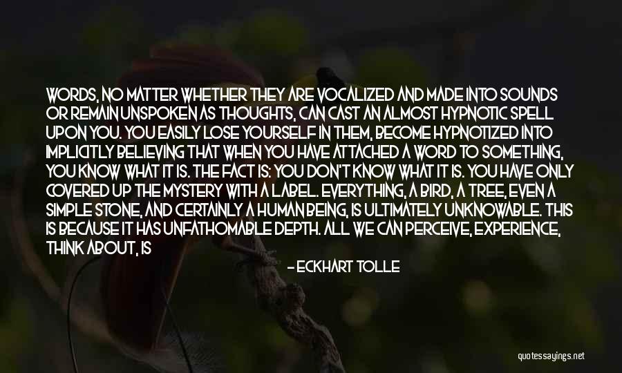 Why Do I Get Attached So Easily Quotes By Eckhart Tolle Why Do I Get Attached So Easily Quotes By Eckhart Tolle