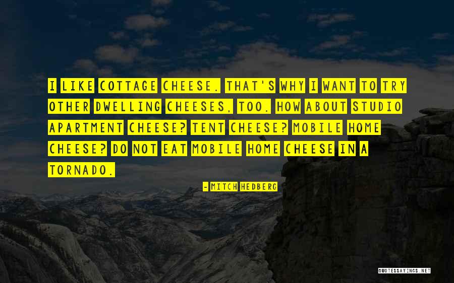 Why Do I Try Quotes By Mitch Hedberg Why Do I Try Quotes By Mitch Hedberg