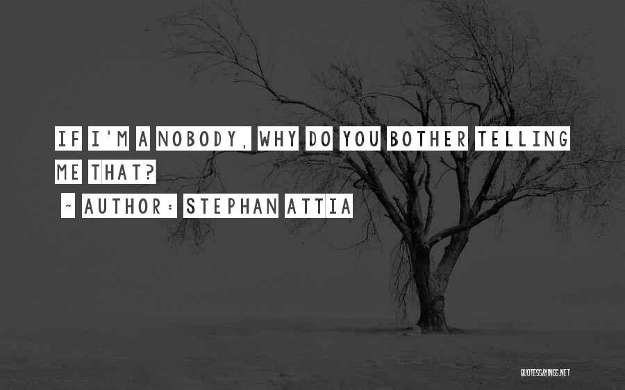 Why Do You Bother Quotes By Stephan Attia
