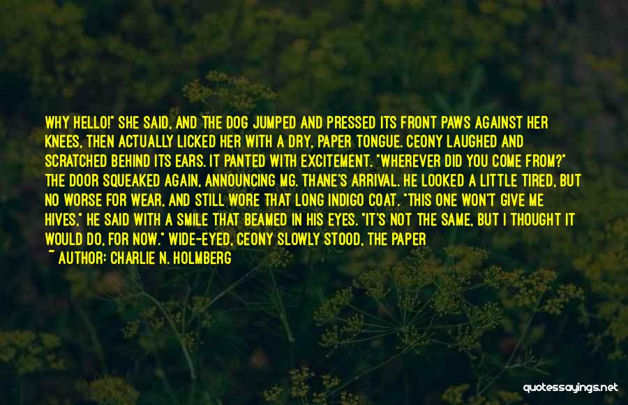 Why Do You Do This To Me Quotes By Charlie N. Holmberg