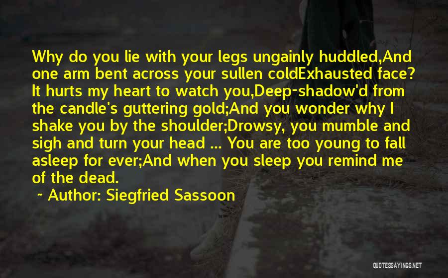 Why Do You Lie Quotes By Siegfried Sassoon
