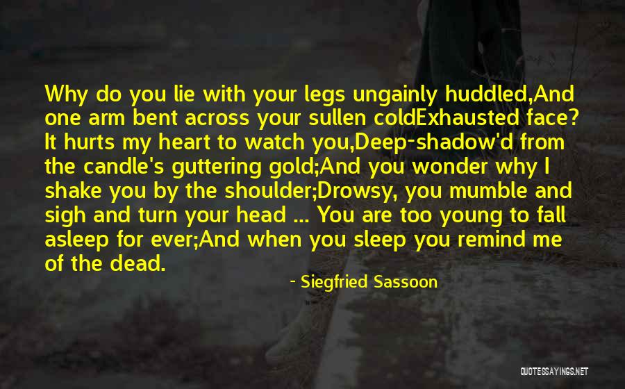 Why Do You Lie Quotes By Siegfried Sassoon