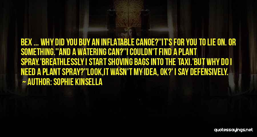Why Do You Lie Quotes By Sophie Kinsella
