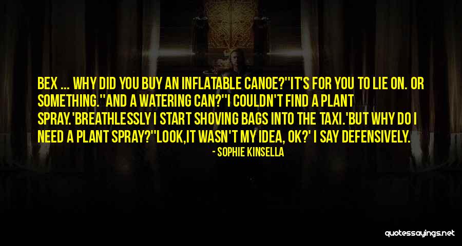 Why Do You Lie Quotes By Sophie Kinsella